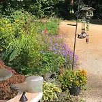 Bed and breakfast D'hotes Les Coustilles