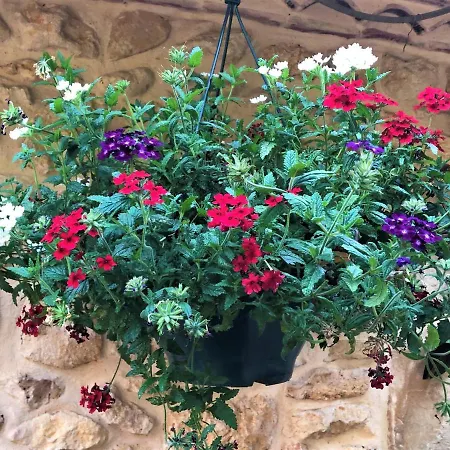 Bed & Breakfast D'hotes Les Coustilles Saint-Alvere
