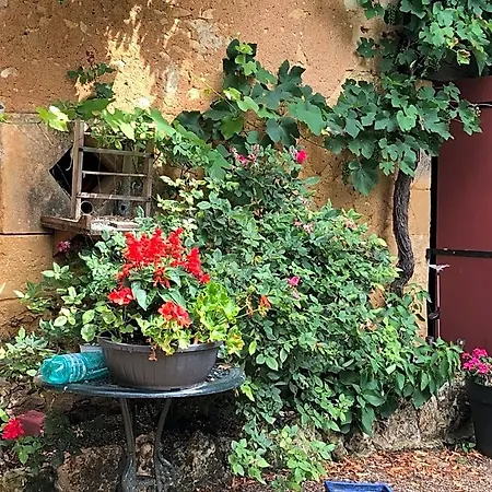 Bed & Breakfast D'hotes Les Coustilles 4*