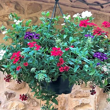 D'hotes Les Coustilles Bed & Breakfast