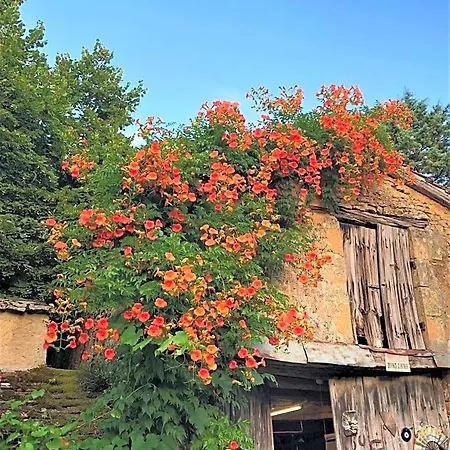 Bed & Breakfast D'hotes Les Coustilles Saint-Alvère
